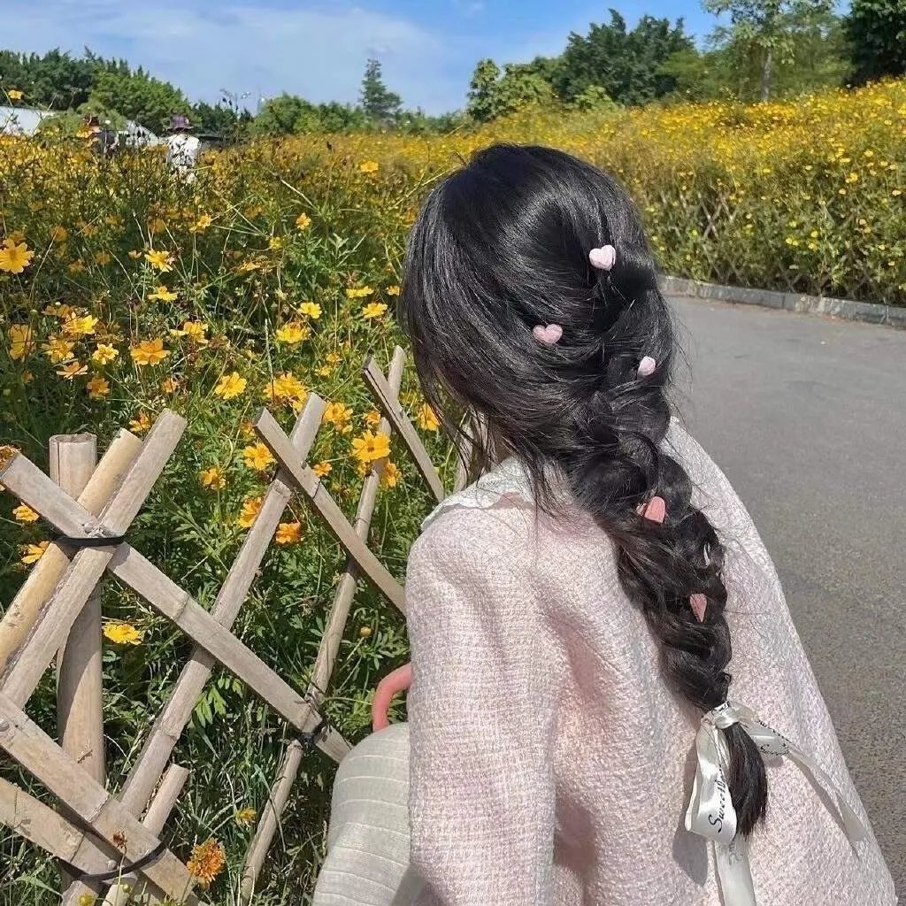 海盗与公主 封面